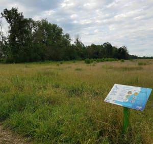 Sentier pédestre de la boucle des Maillys - Les Maillys - 4