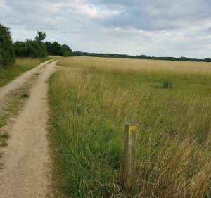 Sentier pédestre de la boucle des Maillys - Les Maillys - 5