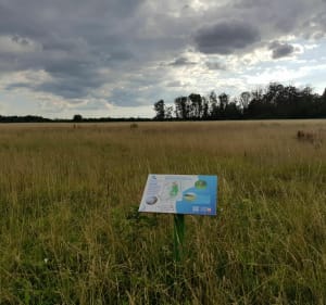 Sentier pédestre de la boucle des Maillys - Les Maillys - 6
