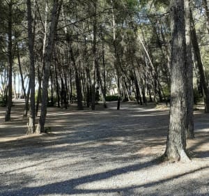 Les coteaux de Bessilles - Montagnac - 2