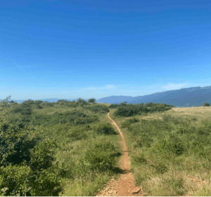 Bon plan à VTT au Mont-Mussy et au mont Mourex - Divonne-les-Bains - 5