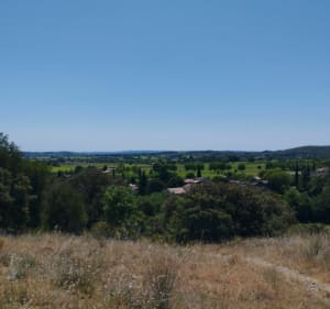 Petit Bosquet - Château Tornac - Tornac - 4