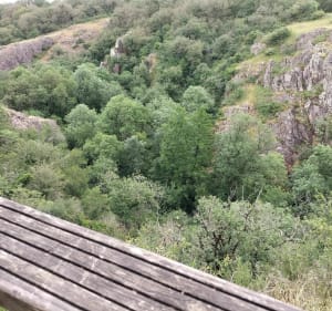 Sur les pas de Sainte-Radegonde - Nathalie - 5