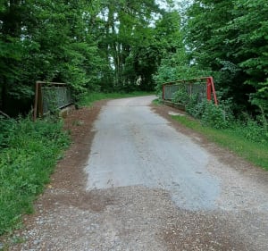 Bois de Coulvagny - Aulnay-l'Aître - 4