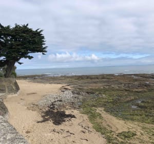 À vélo sur des chemins de mer et de marais à Noirmoutier - Noirmoutier - 3