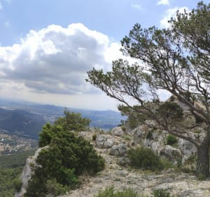 Mount Faron per mountainbike - Toulon - 4