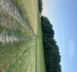 De La Combe de Sillingy par le bois de Bornachon - Sillingy - 5