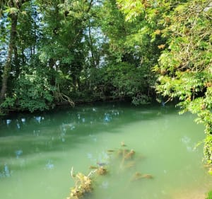 Balade anglure entre l aube et la terre - Anglure - 5