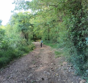 Autour de La Croix-Saint-Leufroy - Clef-Vallée-d'Eure - 4