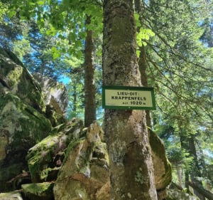 Le sentier des roches - Stosswihr - 4