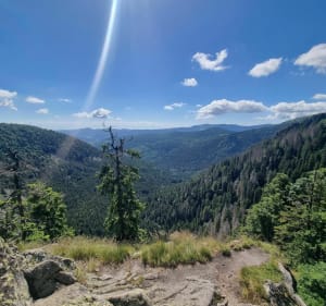 Le sentier des roches - Stosswihr - 5