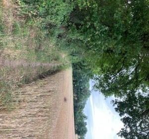 Running - La Combe, Sublessy, Mésigny, Chamarande, La Combe - Sillingy - 6