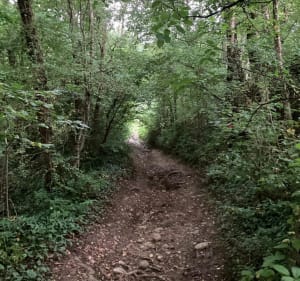 Running - La Combe, Sublessy, Mésigny, Chamarande, La Combe - Sillingy - 10