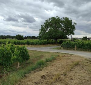 Autours de VARRAINS - Varrains - 4
