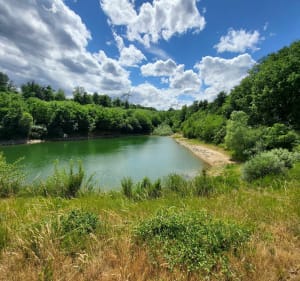 Balade sur les hauteurs de Loire - Loire sur Rhone - 3
