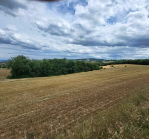 Balade sur les hauteurs de Loire - Loire sur Rhone - 4