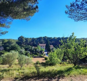 Sentier des 4 frères (Le Beausset - 83) - Le Beausset - 3