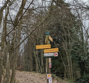 Les Cols de la Luère et de la Croix du Ban - Courzieu - 3