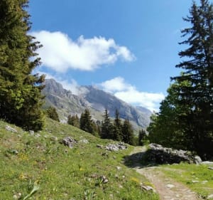 Lac Lessy, een alpiene schoonheid - Le chinaillon - 3