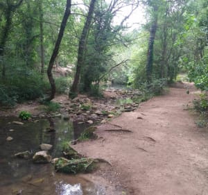 RAVIN DES ENCANAUX ET SES GROTTES - Alain - 3