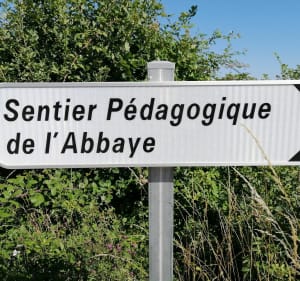 Sentier de l'Abbaye - La Bruère-sur-Loir - 3