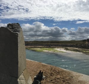 Entre rivière et plage : la dune - Les Granges - 5