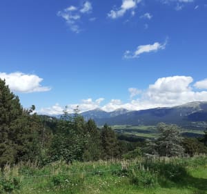 Ontdekkingstocht naar de zonneoven en panoramische wandelpaden - Font-Romeu-Odeillo-Via - 3