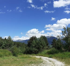 Ontdekkingstocht naar de zonneoven en panoramische wandelpaden - Font-Romeu-Odeillo-Via - 4