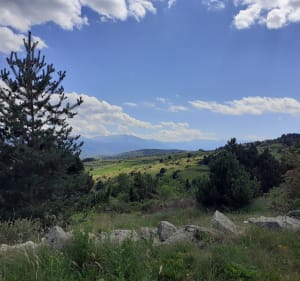 Ontdekkingstocht naar de zonneoven en panoramische wandelpaden - Font-Romeu-Odeillo-Via - 5
