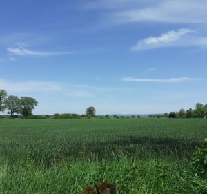Bol d'air pur en bord de Loue et douce campagne - Ounans - 4