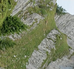 Boucle à la Dent d' Arclusaz - Saint-Pierre-d'Albigny - 6