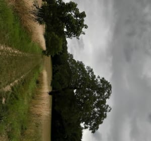 Promenons nous dans les bois vers les villages voisins. - Geville - 4