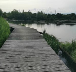 Balade le long du Ru des Hauldres et étang de la Motte - Moissy-Cramayel - 3