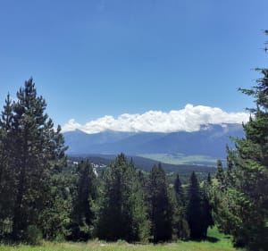 Evasion forestière au belvédère du Coll del Pam - Font-Romeu-Odeillo-Via - 3
