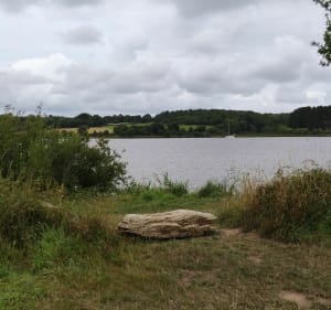 Le long de La Vilaine, circuit court - Camoël - 5