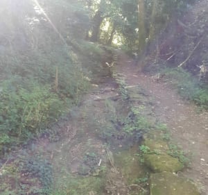 Le chemin de la duchesse Anne - Elliant - 3