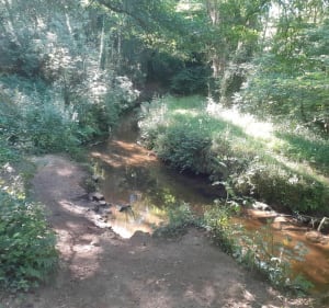 Le chemin de la duchesse Anne - Elliant - 4