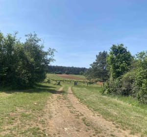 Excursion exquise à VTT sur la route des Grands Crus - Meursault - 4