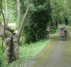 Les Marais de Vendée - L'Île-d'Elle - 4