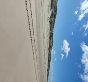 Passage baie d'autie jusqu'à la plage - Fort-Mahon-Plage - 3