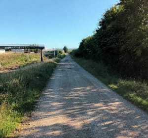 Balade de la maladrerie saltusienne - Saint-Julien-du-Sault - 5