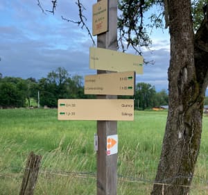 Running de La Combe / Col d’Angely / Quincy / Sillingy / - Sillingy - 3