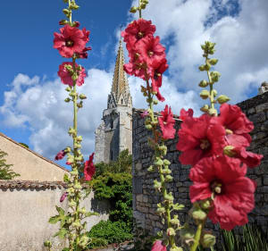 Trip pittoresque sur la côte sud rétaise et aux Ensemberts - Sainte-Marie-de-Ré - 3