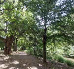 Le long de l'Arc à Aix - Aix-en-Provence - 5