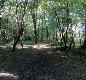 Site des étangs vaillant, Crêt et du fort - Chapelle-Voland - 5