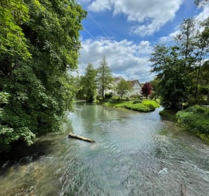 Balade entre Dammartin Sur Tigeaux - Guérard - Tigeaux - Dammartin-sur-Tigeaux - 3
