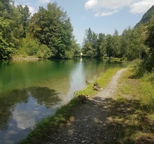 Entre lacs et cascade au pied du Mont-Blanc - Sallanches - 5