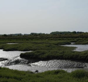 Baie de Sallenelles - Ouistreham - 3