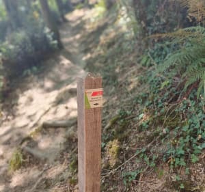 Claire - Trail Chantonnay - Jacky - 4