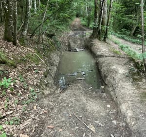 Balade entre La Combe et Bornachon - Sillingy - 3